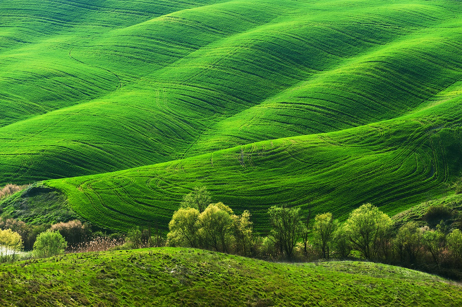 Teleobjektiv Gröna kullar i mellangrunden och bakgrunden av ett landskapsfoto